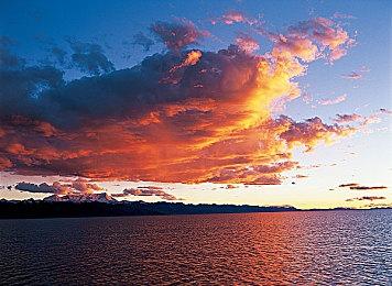 《怪物猎人崛起：曙光》怪物设定图 爵银龙和冰狼龙